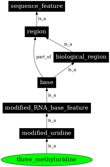 Graph image for SO:0001372