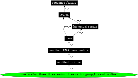 Graph image for SO:0001373