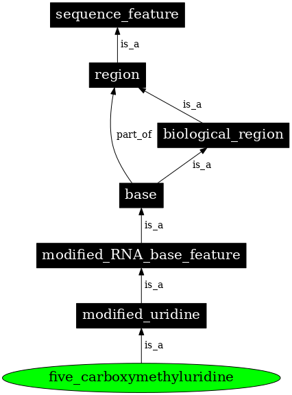 Graph image for SO:0001374