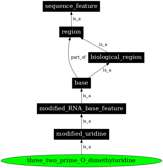 Graph image for SO:0001375