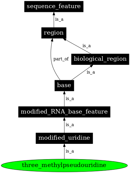 Graph image for SO:0001377