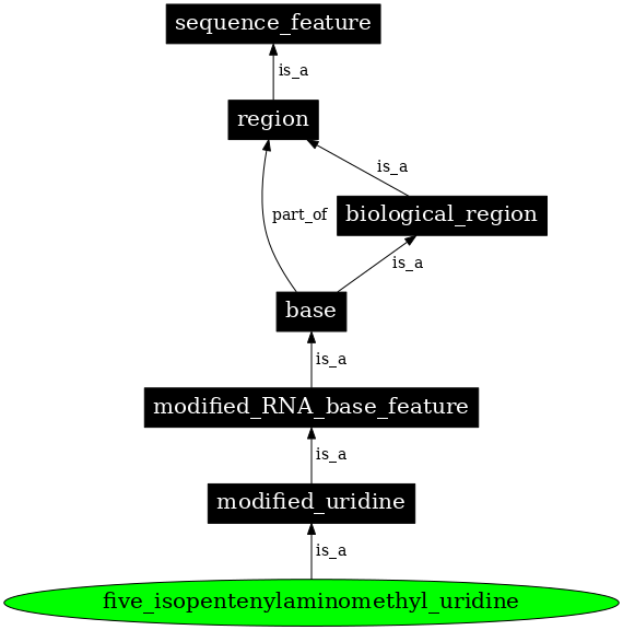 Graph image for SO:0001380