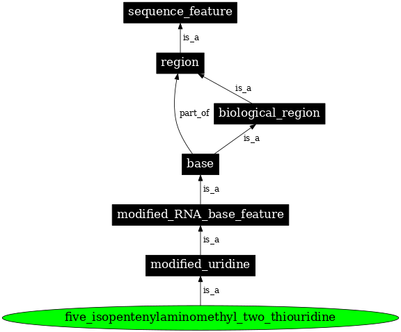 Graph image for SO:0001381