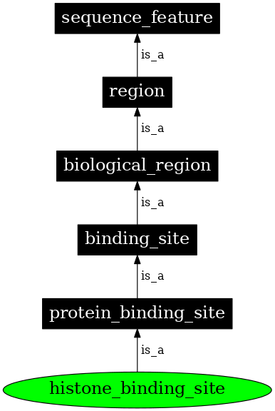 Graph image for SO:0001383