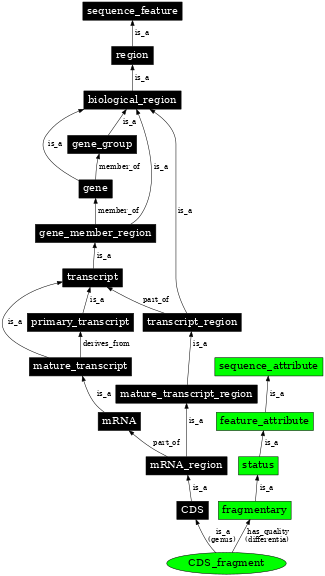 Graph image for SO:0001384