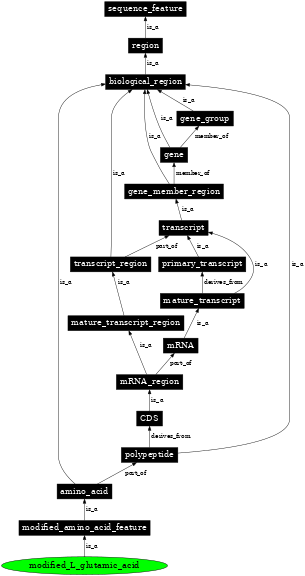 Graph image for SO:0001391