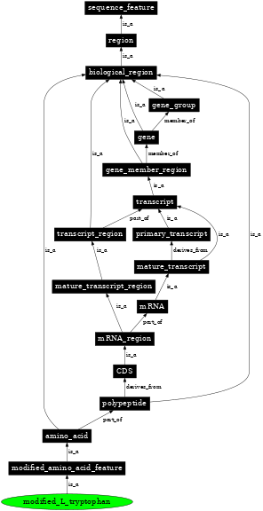 Graph image for SO:0001393