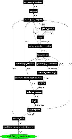 Graph image for SO:0001395