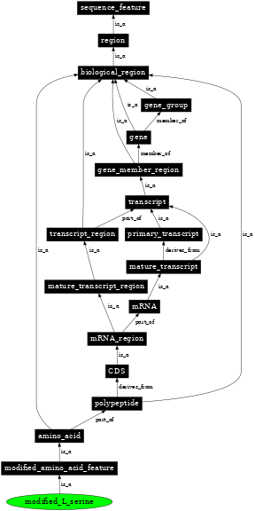 Graph image for SO:0001399