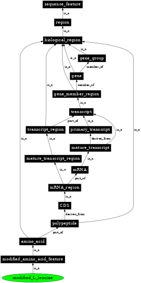 Graph image for SO:0001401