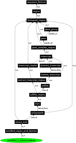 Graph image for SO:0001402