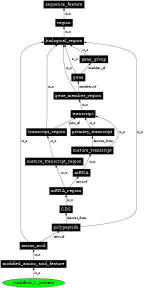 Graph image for SO:0001404