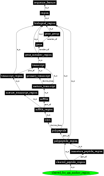 Graph image for SO:0001408