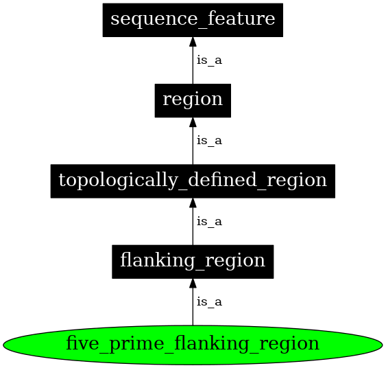 Graph image for SO:0001416