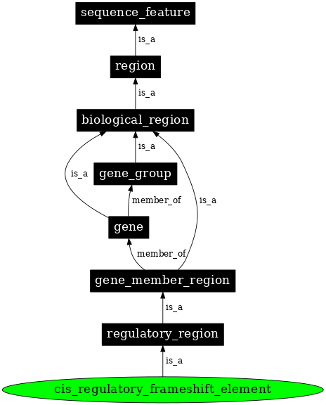 Graph image for SO:0001427