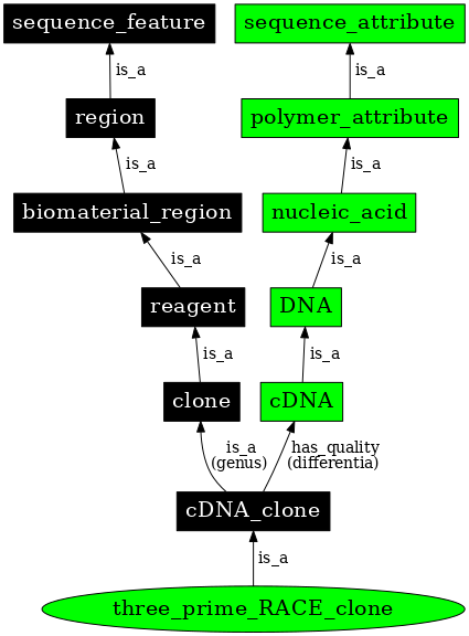 Graph image for SO:0001433