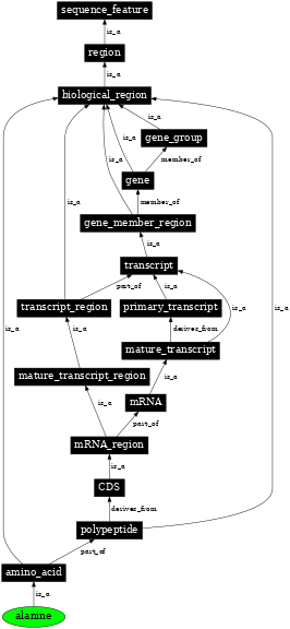 Graph image for SO:0001435