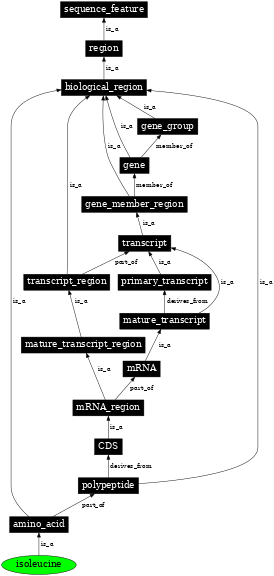 Graph image for SO:0001438