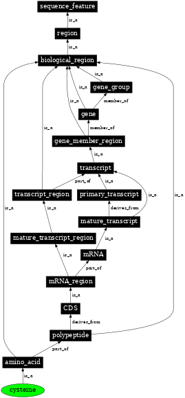 Graph image for SO:0001447