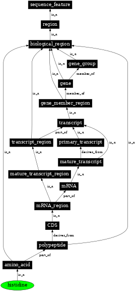 Graph image for SO:0001452