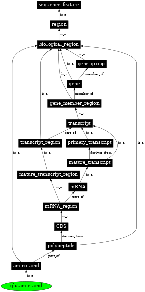 Graph image for SO:0001454