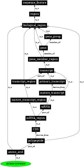 Graph image for SO:0001455