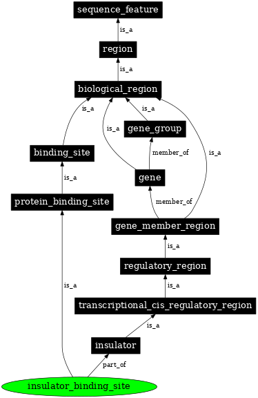 Graph image for SO:0001460