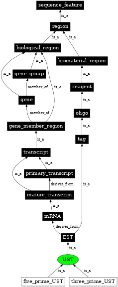 Graph image for SO:0001464