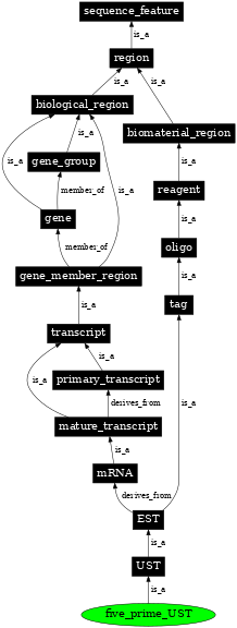 Graph image for SO:0001466