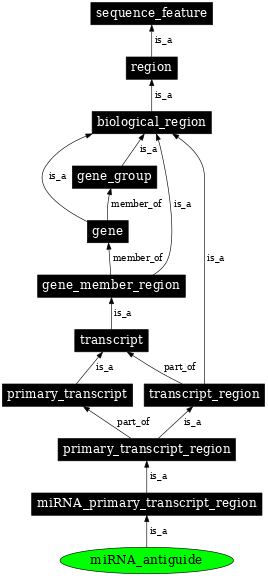 Graph image for SO:0001473