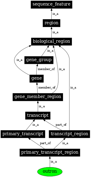 Graph image for SO:0001475