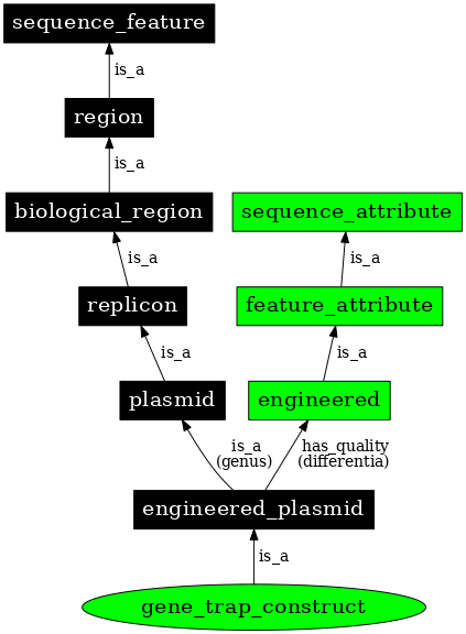 Graph image for SO:0001477