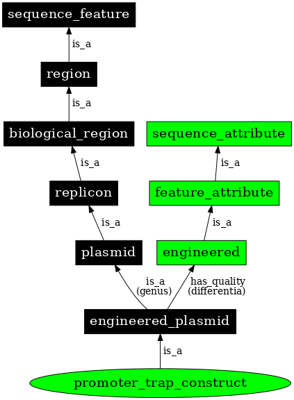 Graph image for SO:0001478