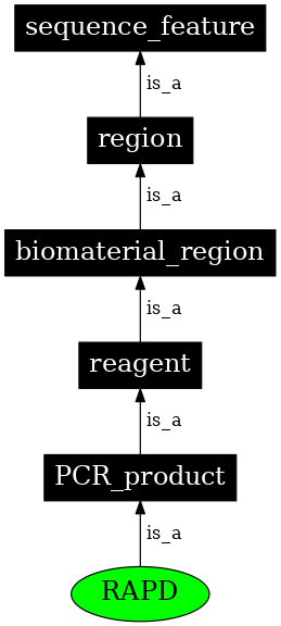 Graph image for SO:0001481