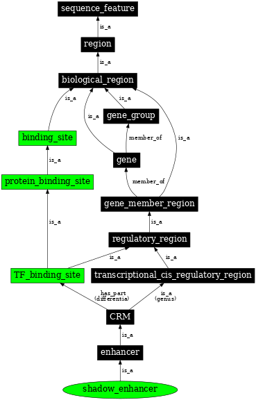 Graph image for SO:0001482