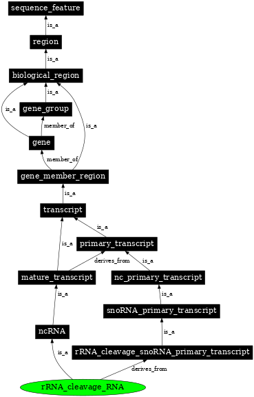 Graph image for SO:0005843