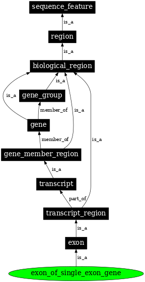 Graph image for SO:0005845