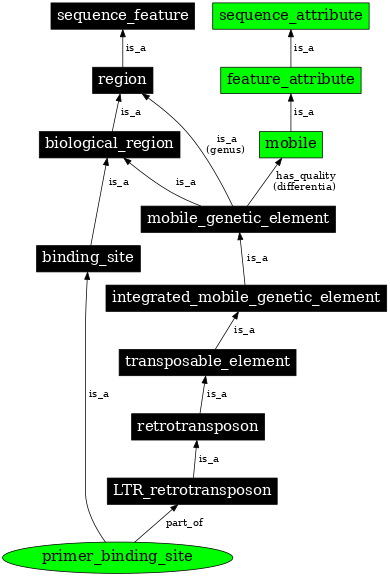 Graph image for SO:0005850