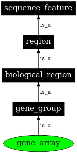 Graph image for SO:0005851