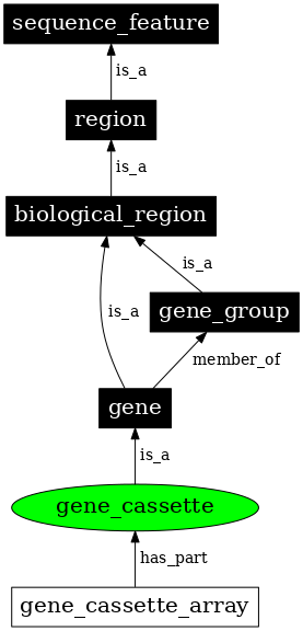 Graph image for SO:0005853