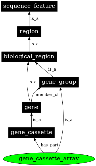 Graph image for SO:0005854