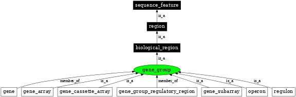 Graph image for SO:0005855