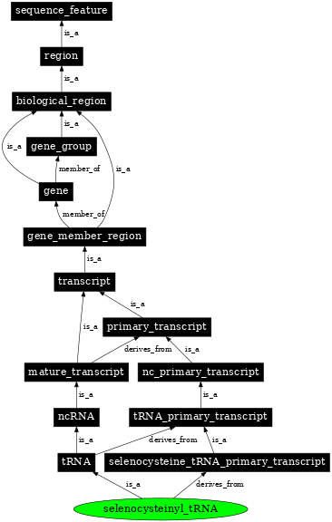 Graph image for SO:0005857