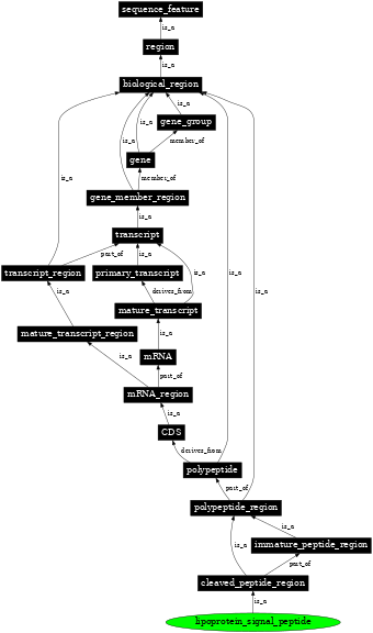 Graph image for SO:0100009