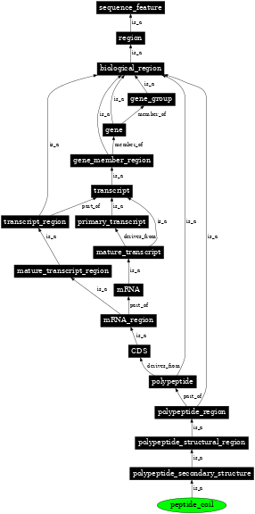 Graph image for SO:0100012