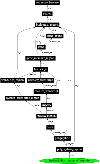 Graph image for SO:0100013