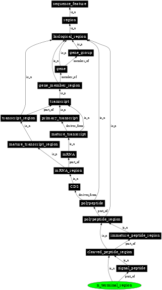 Graph image for SO:0100014