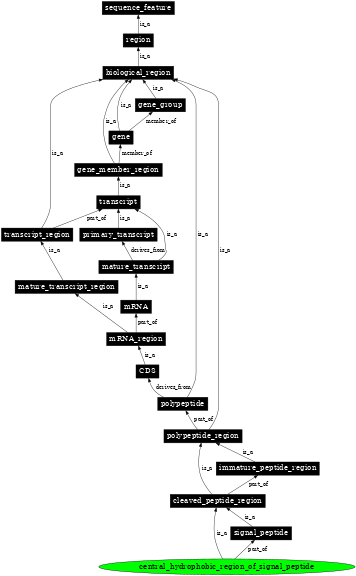 Graph image for SO:0100016