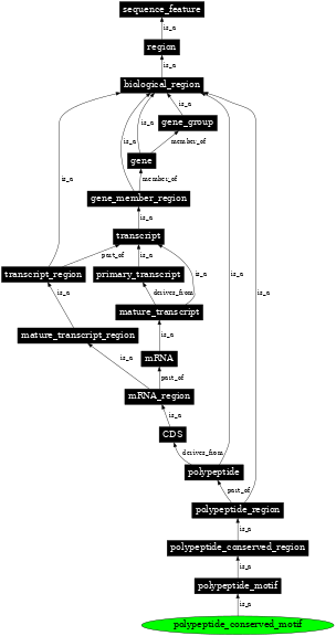 Graph image for SO:0100017