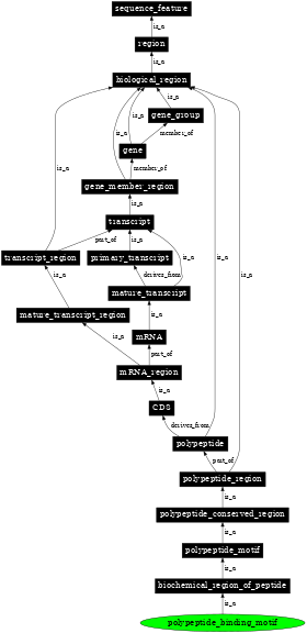 Graph image for SO:0100018